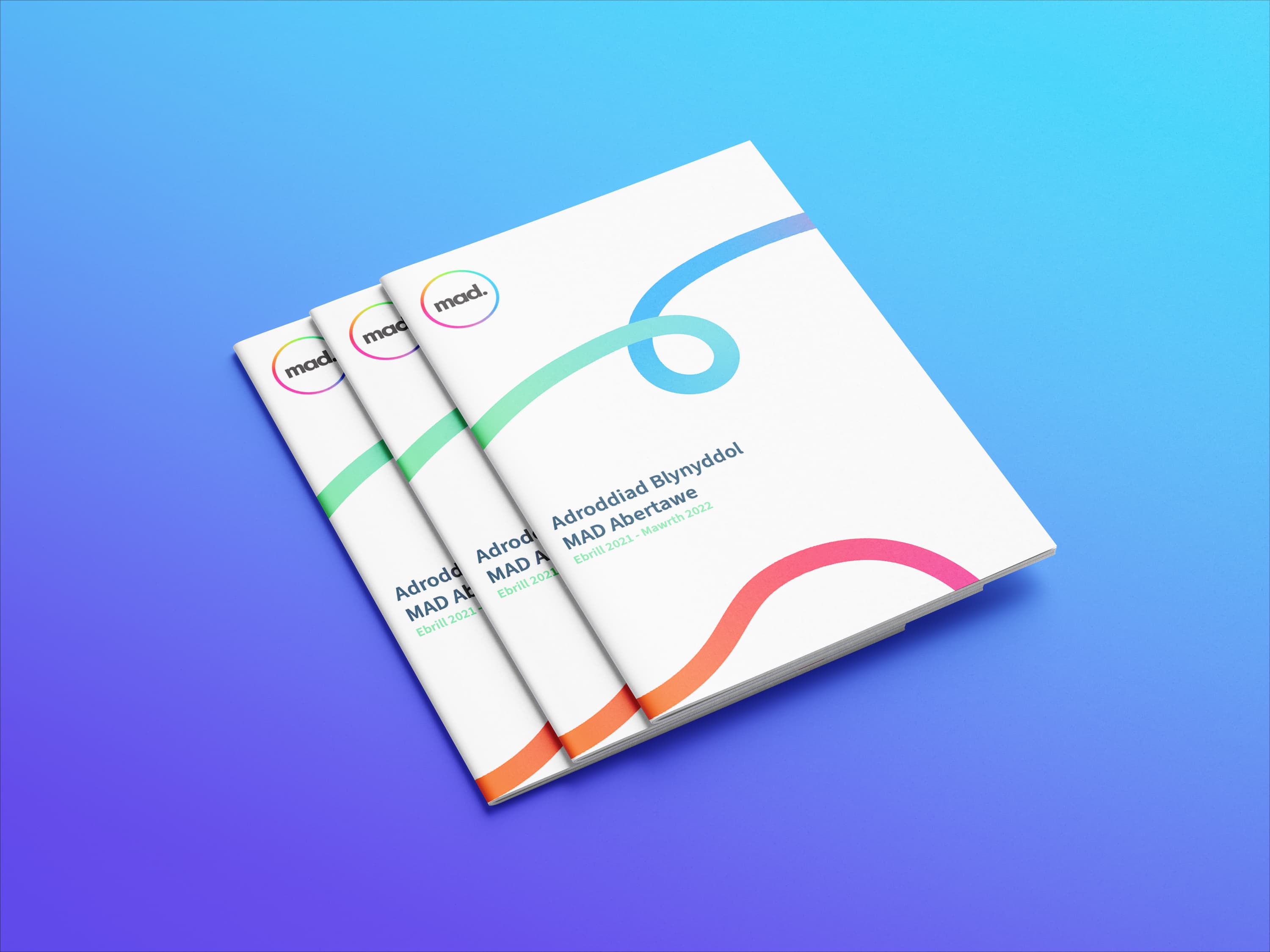 Swansea Mad Brochure Design